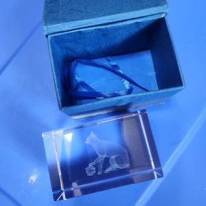 Cat holographic 3D glass art